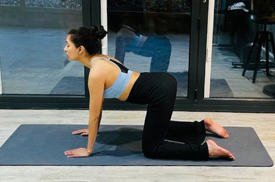 How to Do Cat / Cow Pose (Marjariasana / Bidalasana): Step-by-Step Guide for Beginners